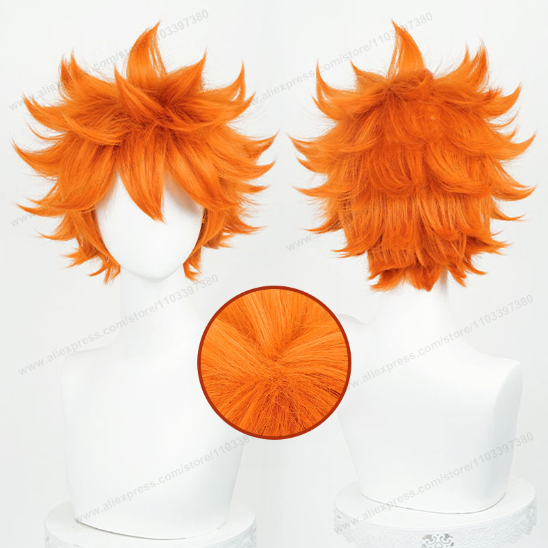 Hinata Shoyo Cosplay Wig 26cm  - Anime Cosplay Orange Hair 评论和价格