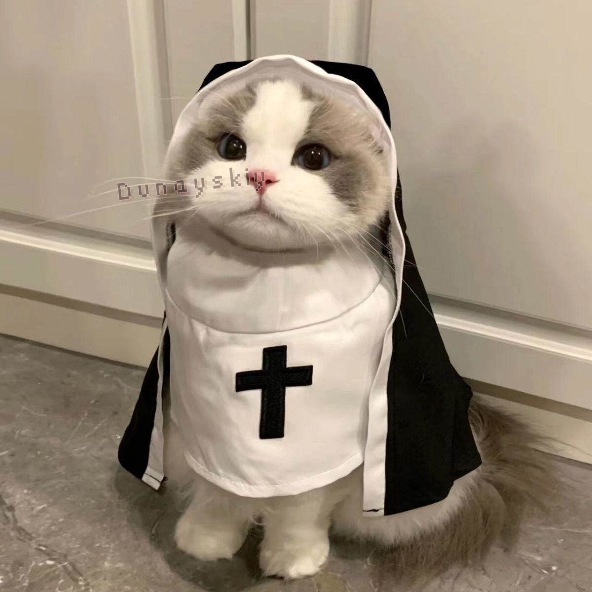 Christmas Pet Dog Cat Cosplay  - Anime Cosplay Nun 评论和价格
