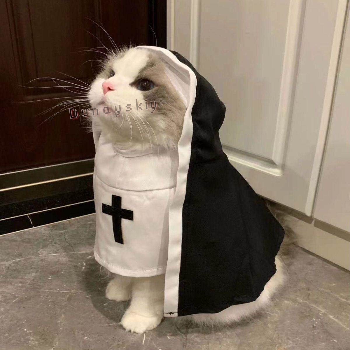 Christmas Pet Dog Cat Cosplay  - Anime Cosplay Nun 评论和价格