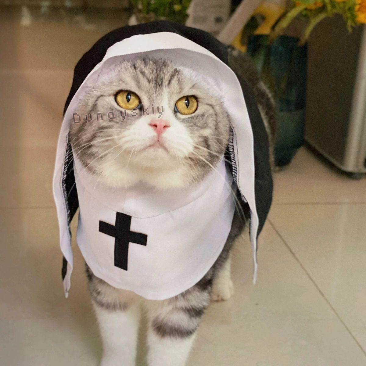 Christmas Pet Dog Cat Cosplay  - Anime Cosplay Nun 评论和价格